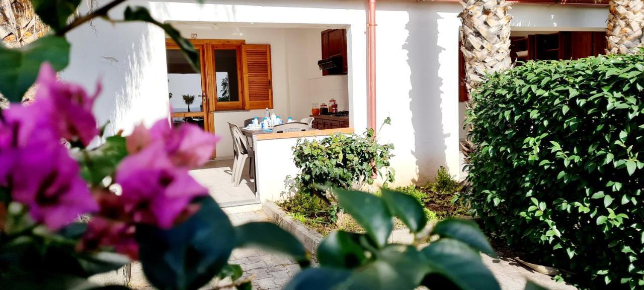 Ninfa Sul Mare Apartments 50 M E T R I Dal Mare Parcheggio Gratuito Custodito Capo Vaticano Exterior photo