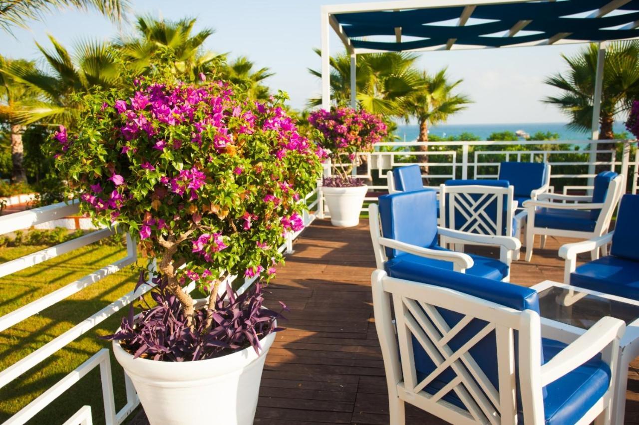 Ninfa Sul Mare Apartments 50 M E T R I Dal Mare Parcheggio Gratuito Custodito Capo Vaticano Exterior photo